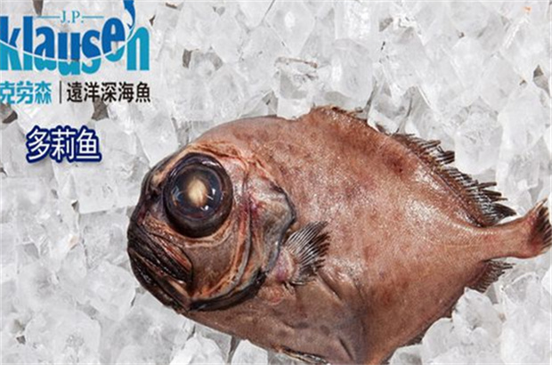 克劳森深海鱼