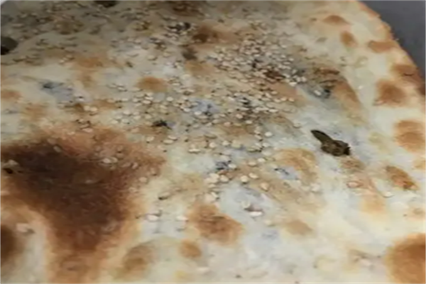 鲫鱼下面七号烧饼加盟