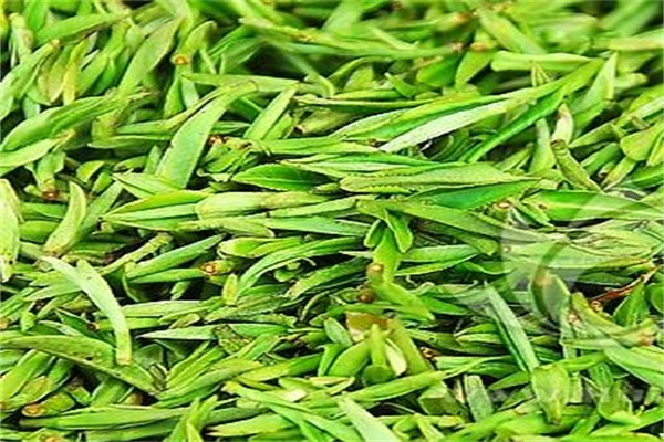 三湘茶业