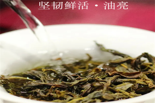 安溪溢天香茶叶