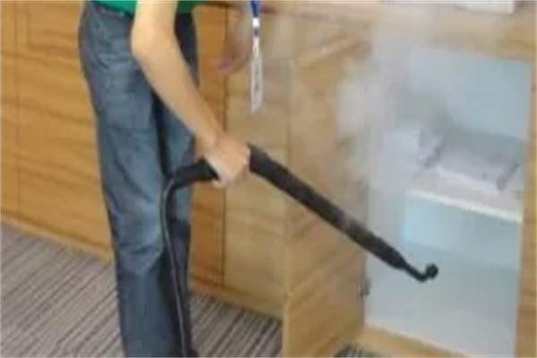 双仕除甲醛