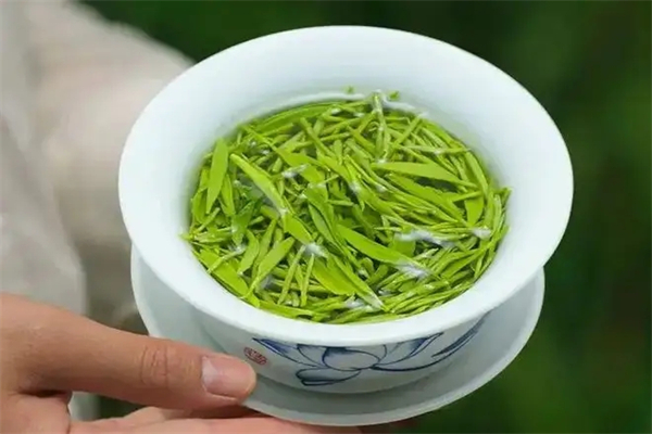 安溪溢天香茶叶