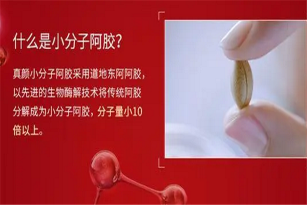 真颜小分子阿胶