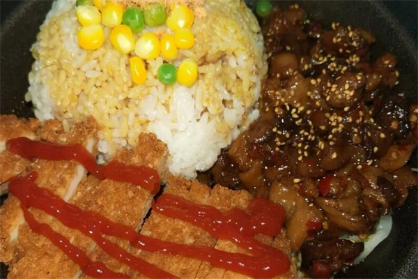 乐语之家卤肉鸡排饭