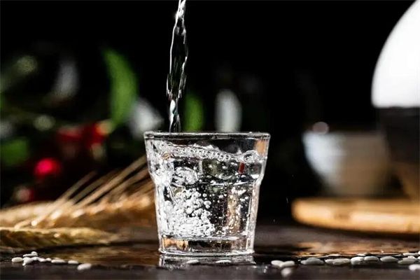 桂花鄉酒业加盟