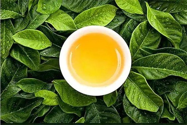 亿峰茗茶加盟