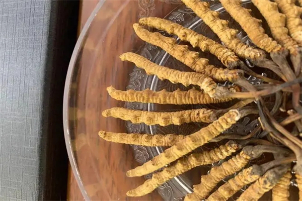 宝王虫草