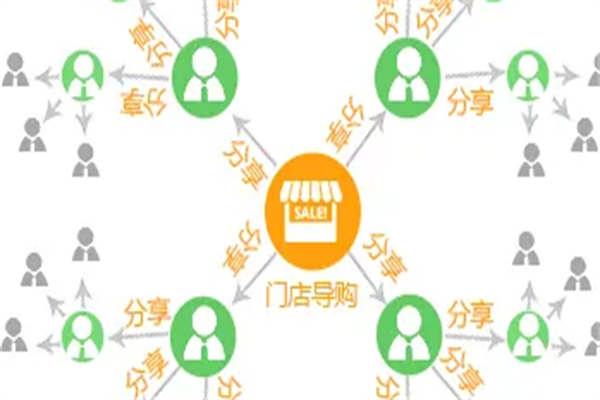 波罗蜜分销