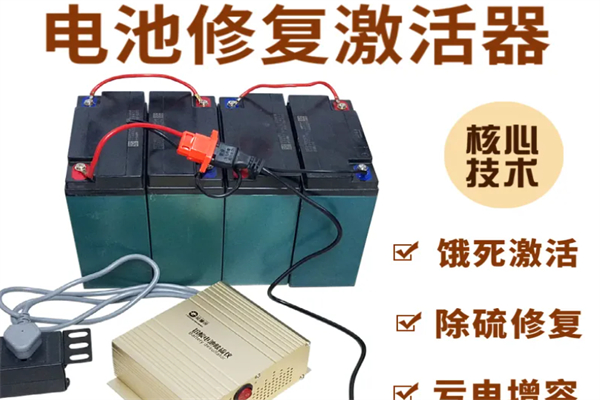 三水电动车电池修复器