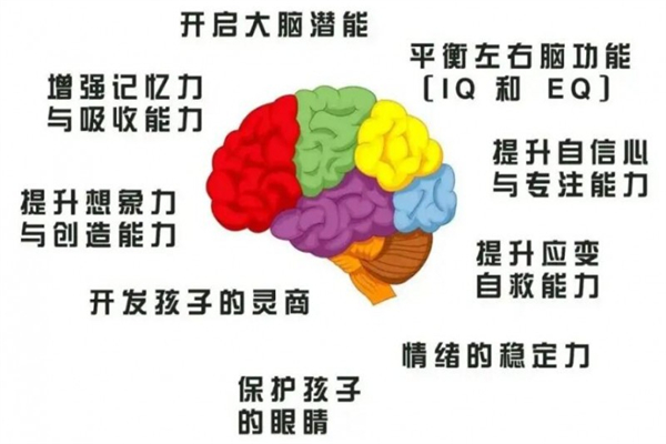 新智慧全脑教育加盟
