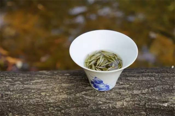 陆语茶室加盟