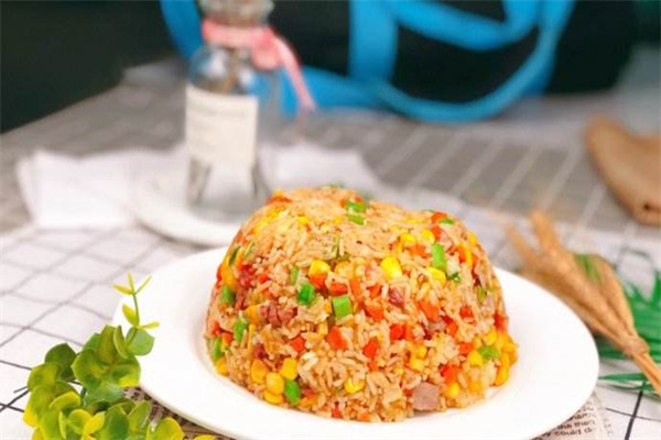 乐乐兽炒饭加盟