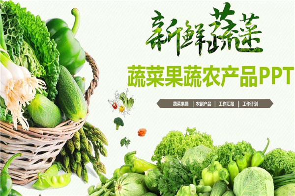 农丰果蔬制品加盟