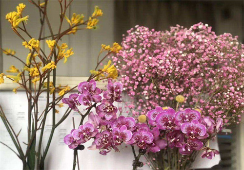 小荷花艺婚庆