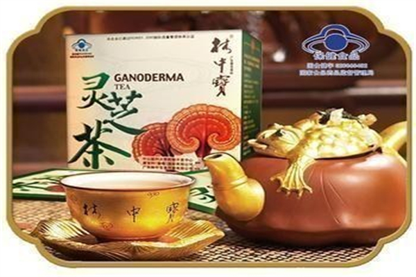 灵芝茶加盟