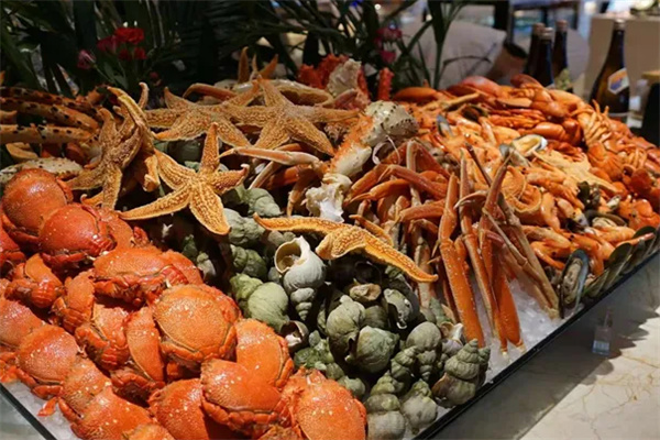 城美海鲜餐厅加盟