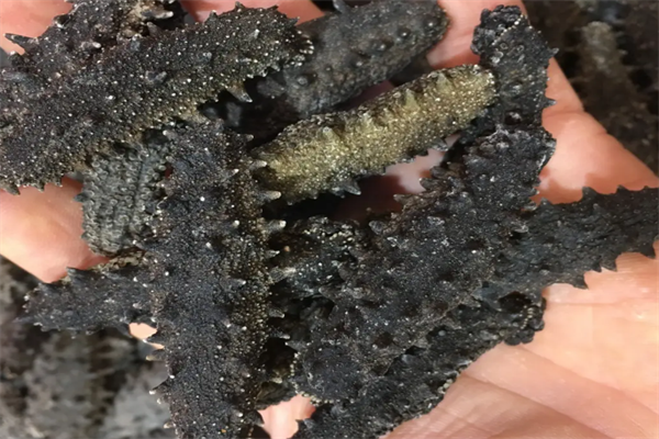 川泉食品