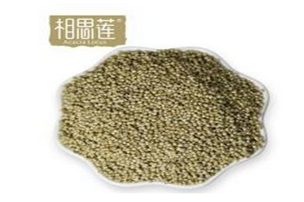 相思莲