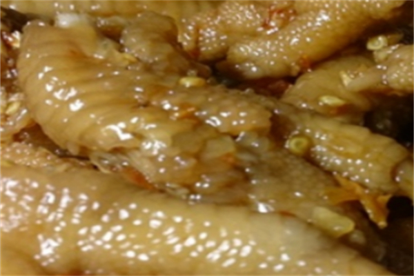 鸡栖小站