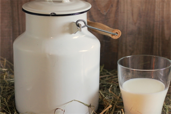 Dailymilk鲜奶吧