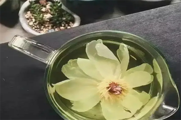 一朵牡丹茶