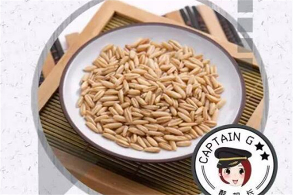 酷机长燕麦米稀加盟