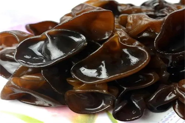 恒志木耳