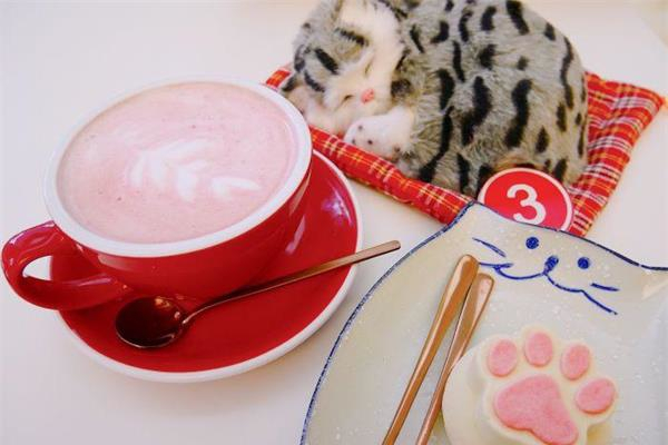 甜喵蜜语猫主题互动咖啡