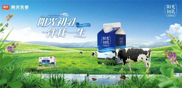 阳光乳业酸奶