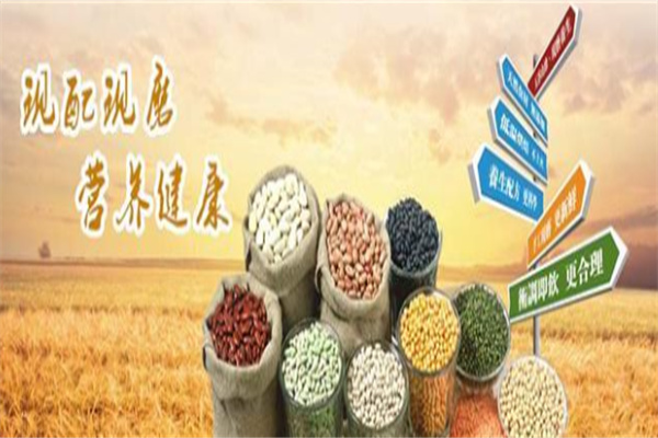 冯佰宋食品加盟