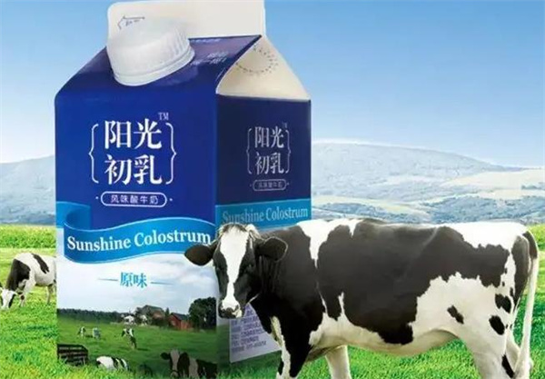 阳光乳业酸奶