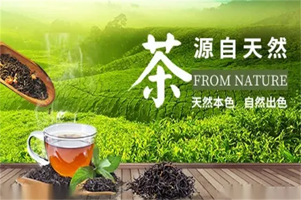岩木传奇茶业