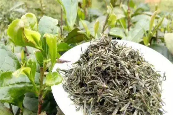 东拐茶叶