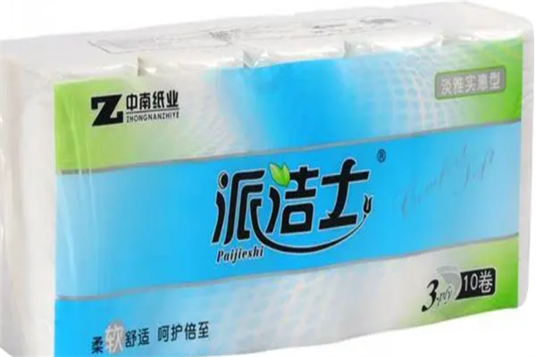 派洁士纸