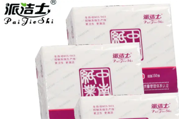 派洁士纸