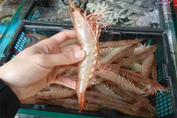 辰凯水产行
