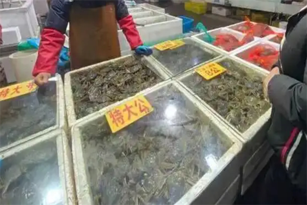 辰凯水产行