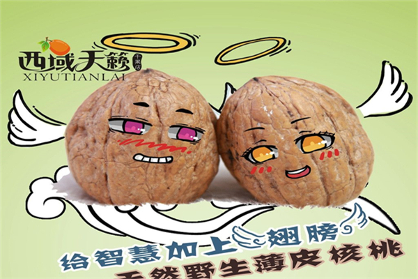 西域天籁食品