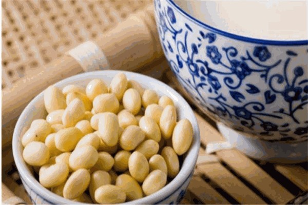 阿新奶豆制品加盟