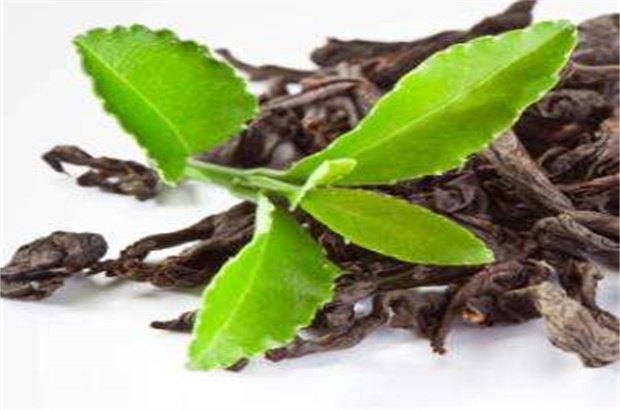 胖哥茶楼