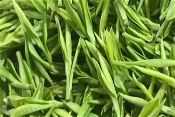 闽福泰茶叶