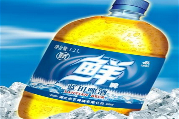 博盛(蓝田)啤酒加盟