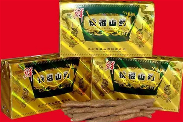 金长江食品加盟