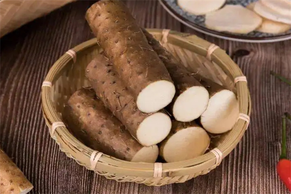 金长江食品加盟