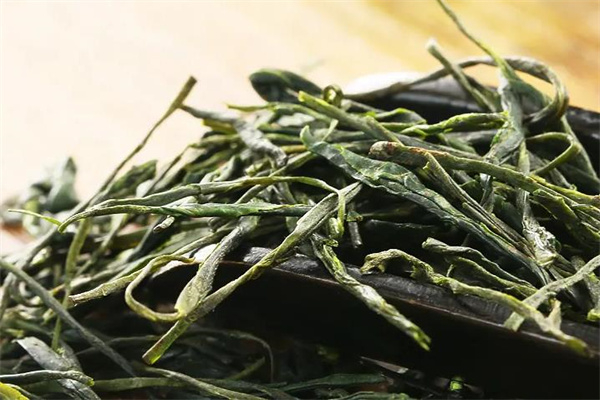 文帝贡茶
