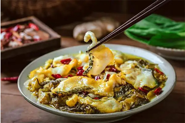 阿雷酸菜鱼