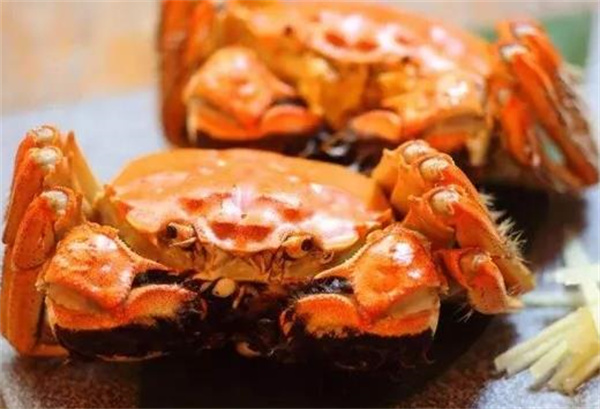 蟹中汇大闸蟹