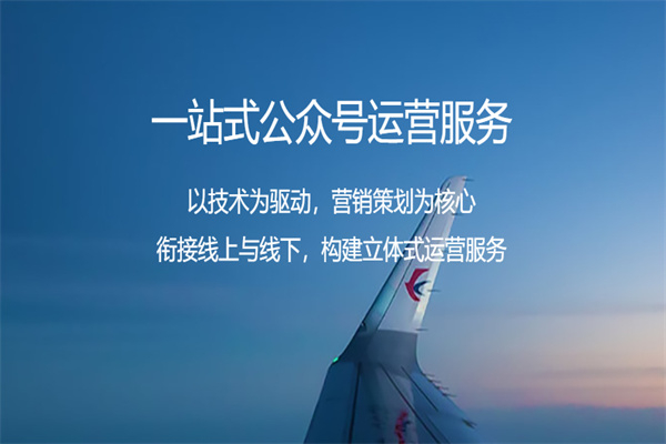 微童星