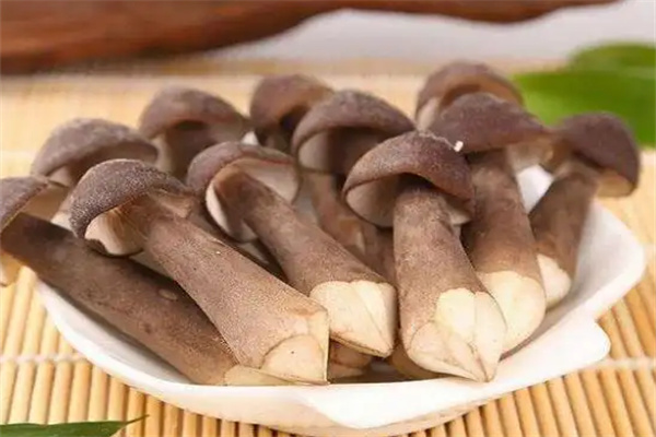 祥云鸡枞菌加盟