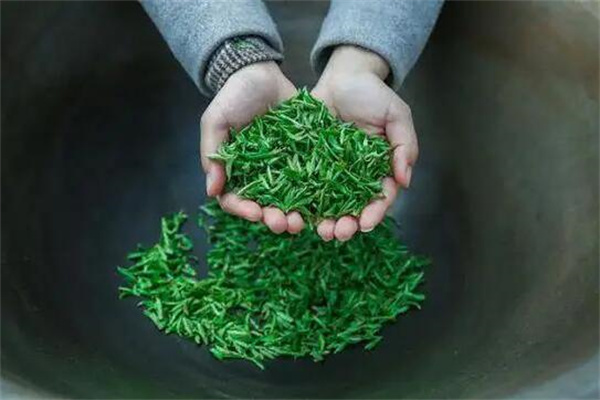 松萝有机茶叶加盟